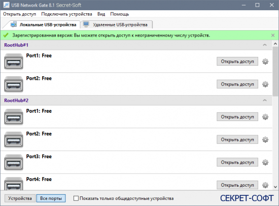 USB Network Gate 8.1 + Ключ