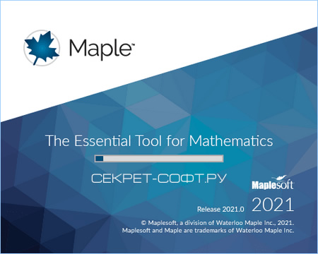 Maplesoft Maple 2021 + Ключ (Полная версия)